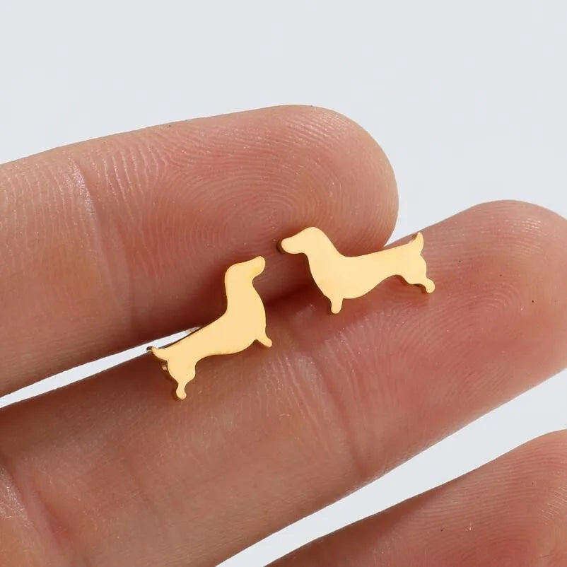 Brincos de Estudo de Dachshund